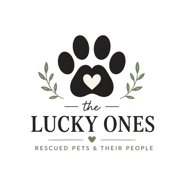 The Lucky Ones